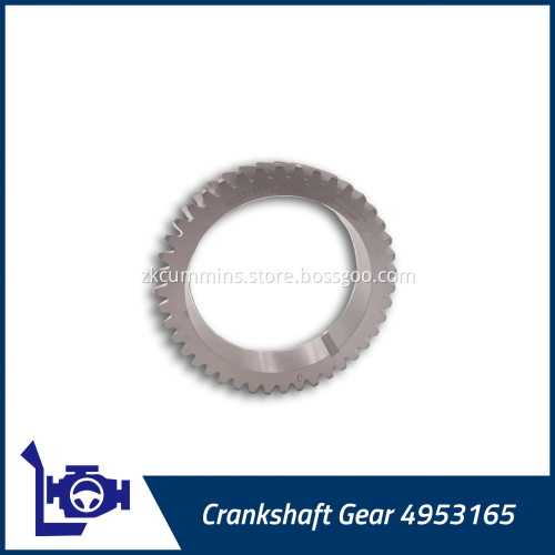 4953165 Cummins Crankshaft Gear